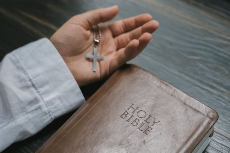 向死而生:千瘡百孔的凱迪生態(tài)何以實(shí)現(xiàn)自我救贖!