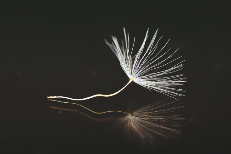 網絡主播帝師因偷稅被追繳罰沒超千萬，稅收洼地工作室已注銷